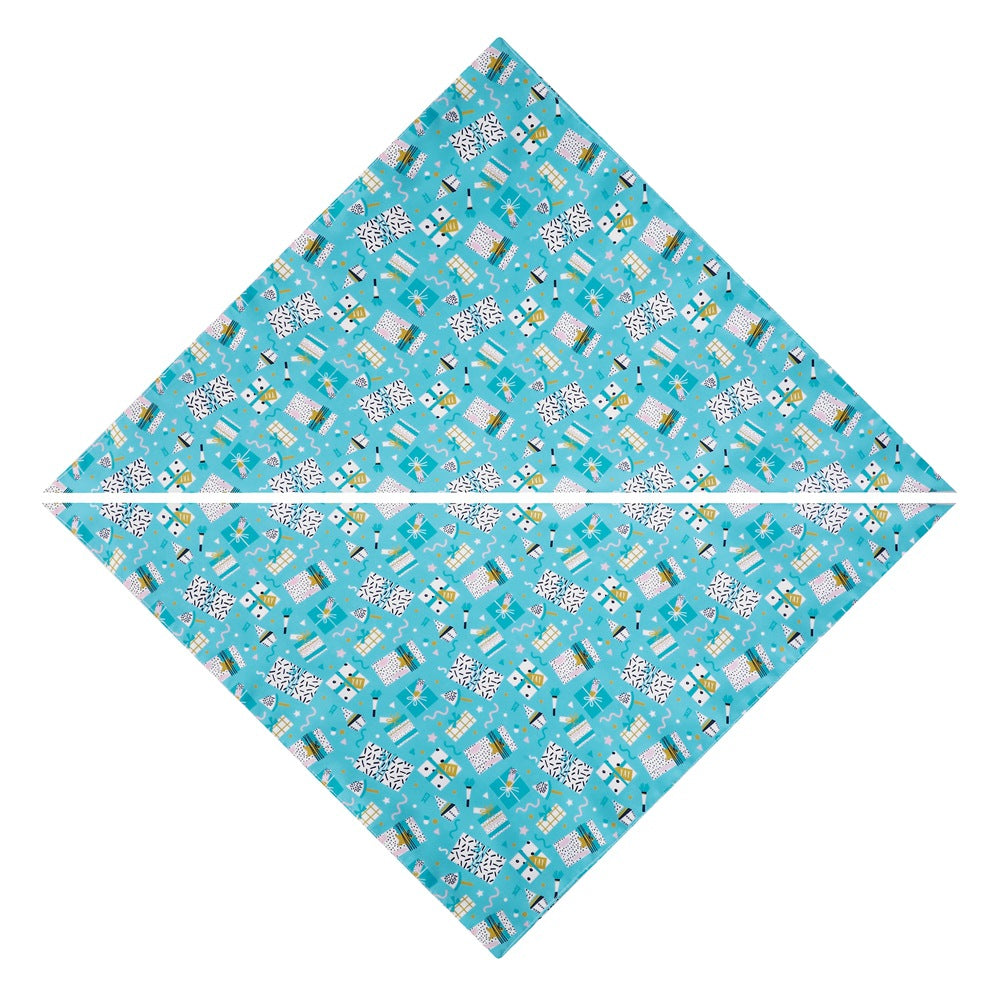Birthday Bandana Scarf Party Supplies