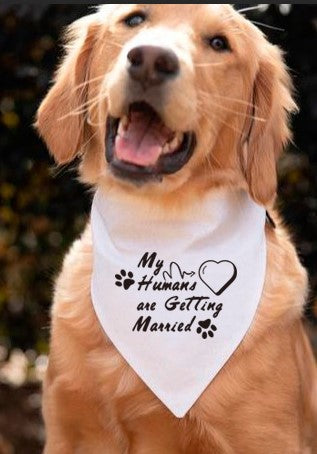 Dog Scarf Gift Wedding Dog Bandana