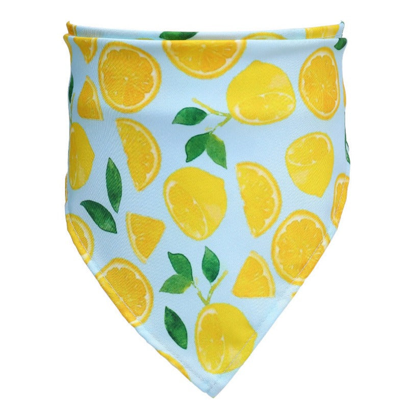 Washable Fruit Summer Pet Bandanas