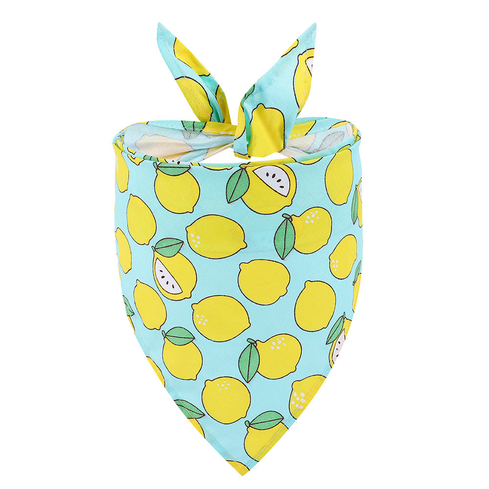 Summer Fruit Animal Dog Bandana Triangle Bibs