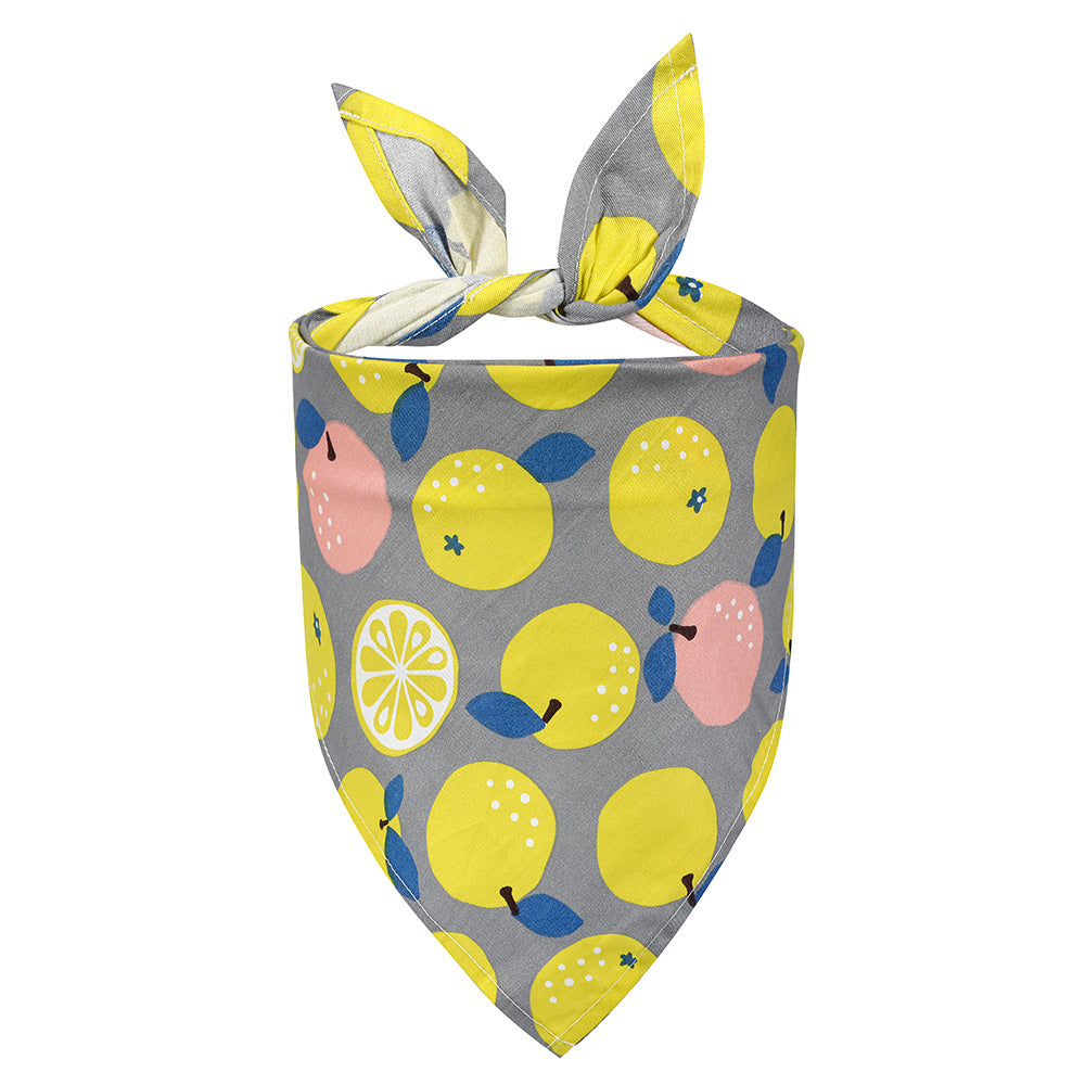 Summer Fruit Animal Dog Bandana Triangle Bibs