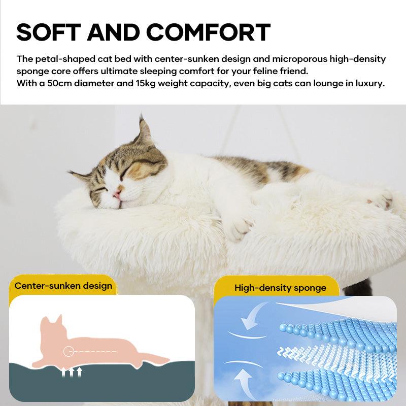 Premium Solid Wood Cat Tree, Natural Fruitwood