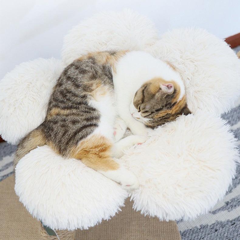 Premium Solid Wood Cat Tree, Natural Fruitwood