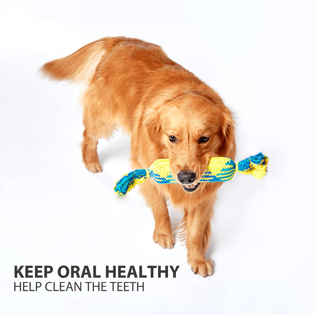 Candy Squeaky Chewer Toy With Two size For All Dogs