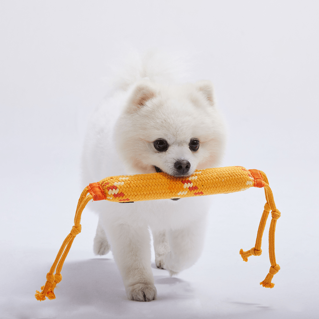 Orangutan Family Member - Monkey Squeaky Chewer Toy For Dog