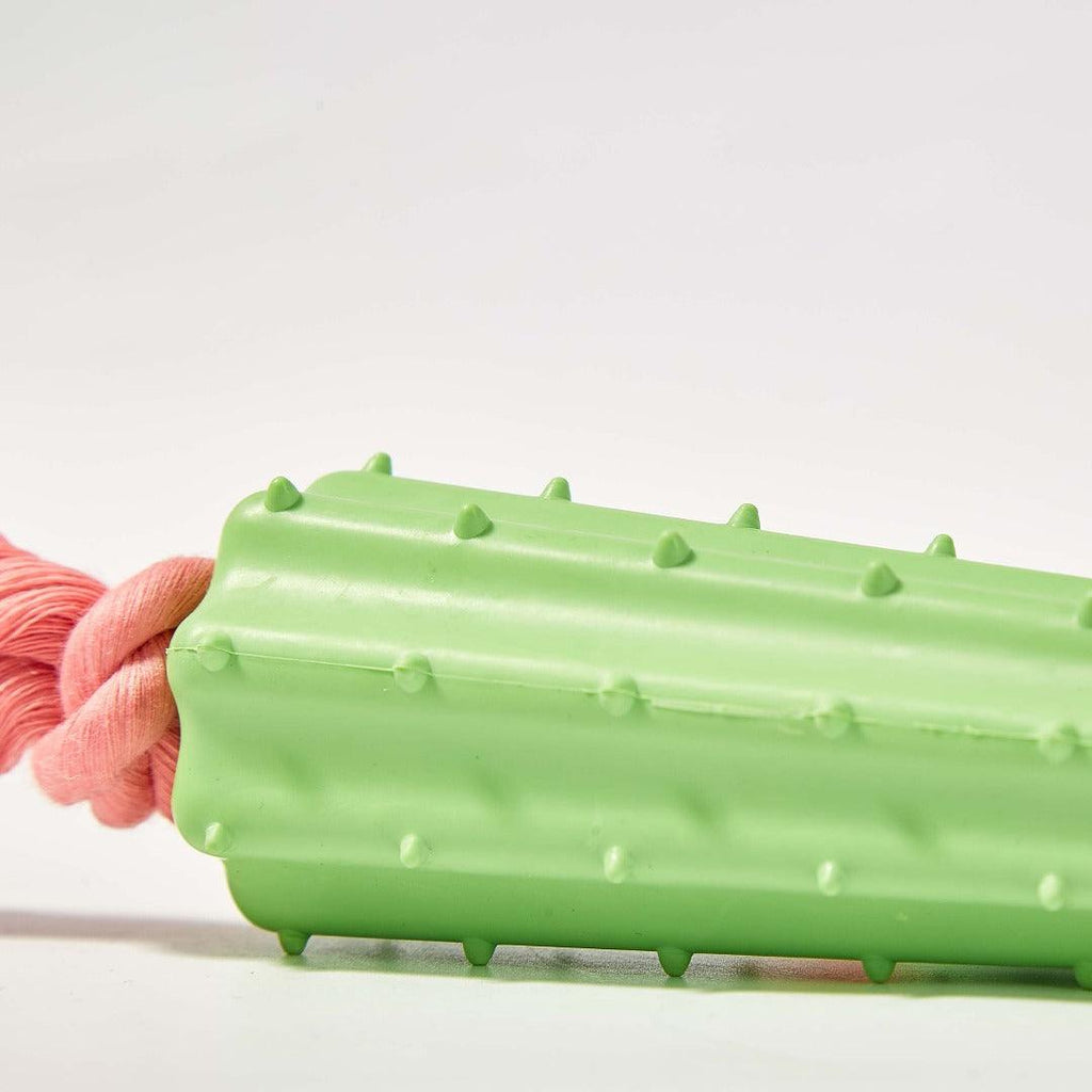 Cactus Pink Chewer Rope Toy For Dogs