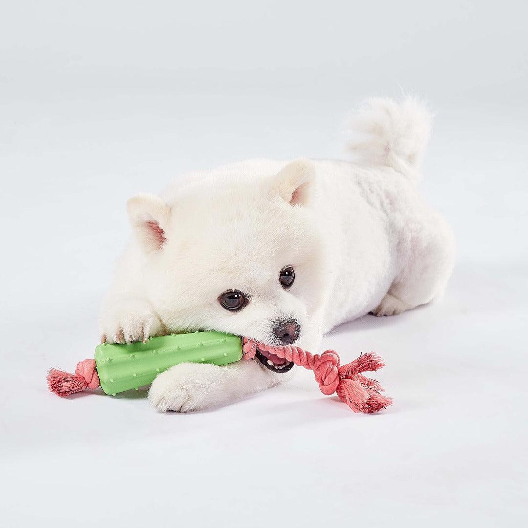 Cactus Pink Chewer Rope Toy For Dogs