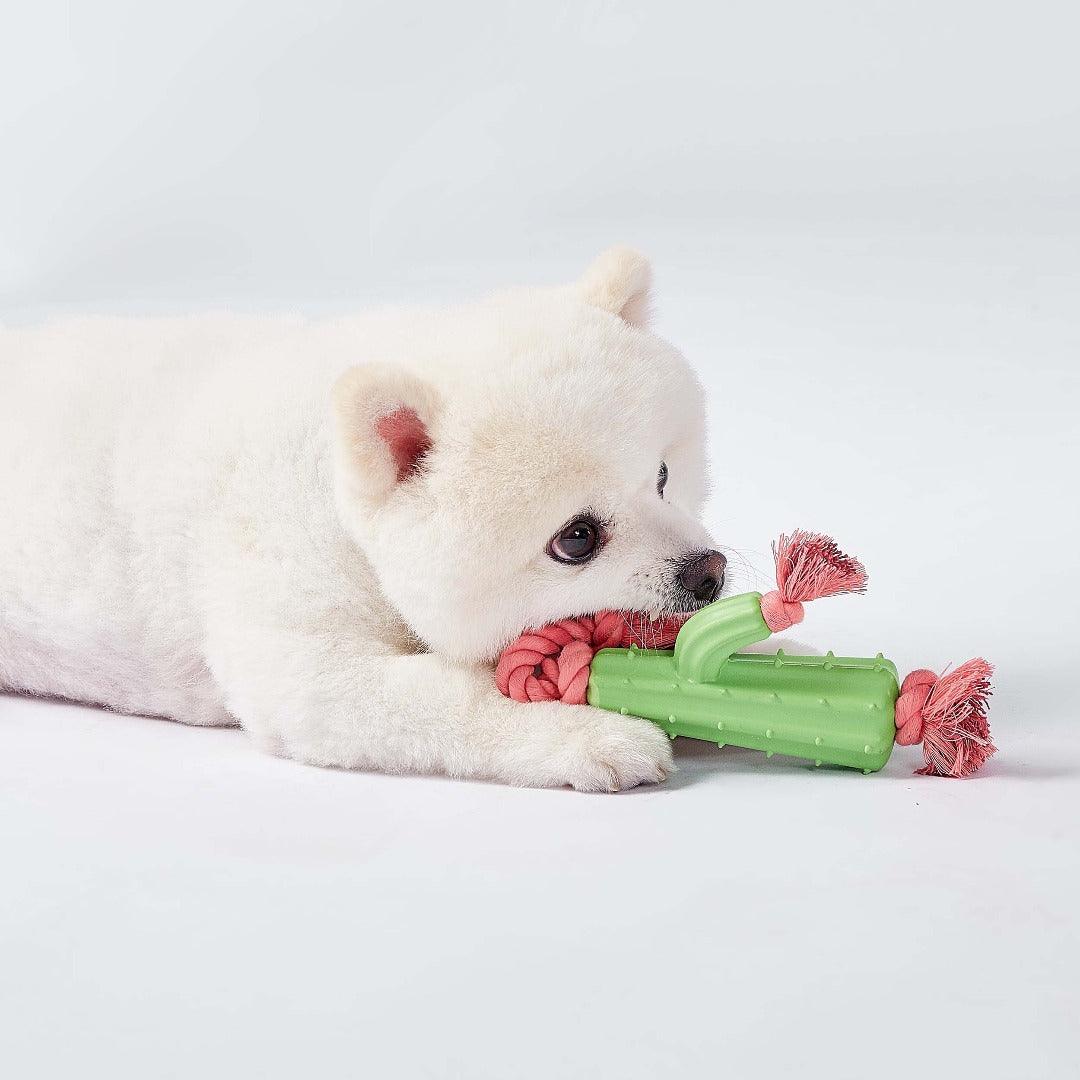 Cactus Pink Chewer Rope Toy For Dogs