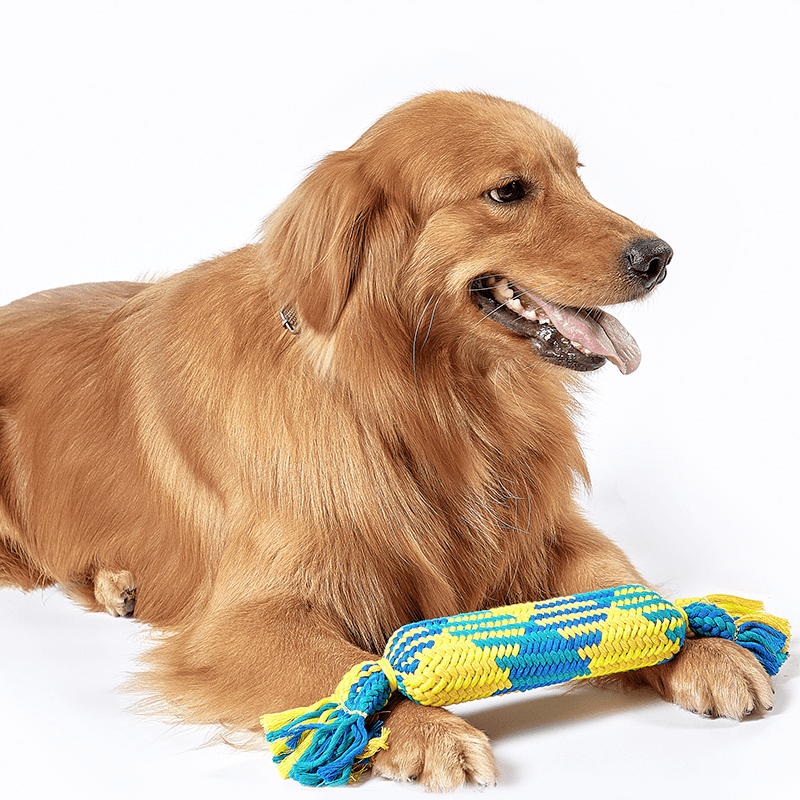 Candy Squeaky Chewer Toy With Two size For All Dogs